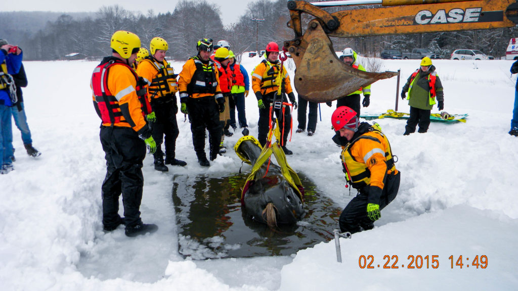 Animal Response Team Volunteers Training