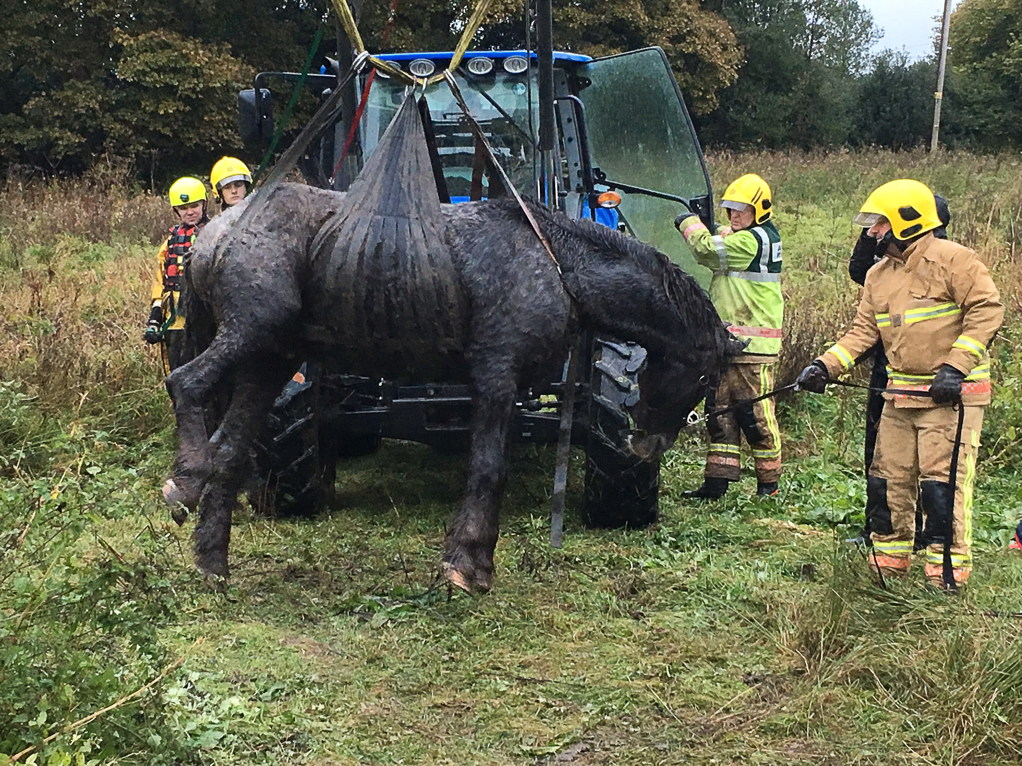 About PART | Pennsylvania Animal Response Team